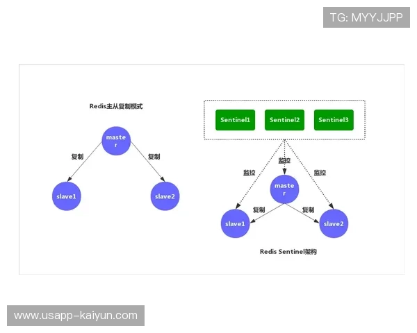 远程健身指导系统优化，突破时空限制
